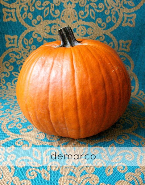 pumpkin 1_demarco